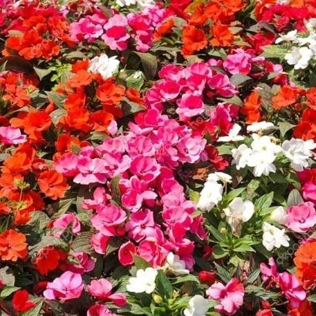 B&B Apollonia Roseto Capo Spulico Εξωτερικό φωτογραφία